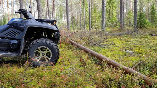 Quad bike in forest moving through fallen tree