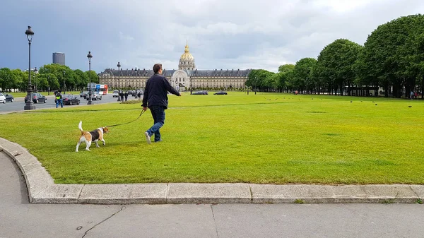 Pariser Geht Mit Hund Auf Grünen Rasenfeldern Der Nähe Von — Stockfoto