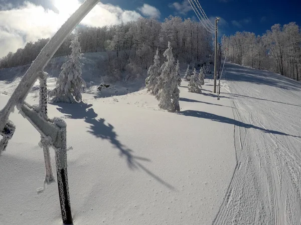스러운 곳에서 스키를 비탈을 내려오는 사람들이 있습니다 날씨가 추워서 가지들 — 스톡 사진