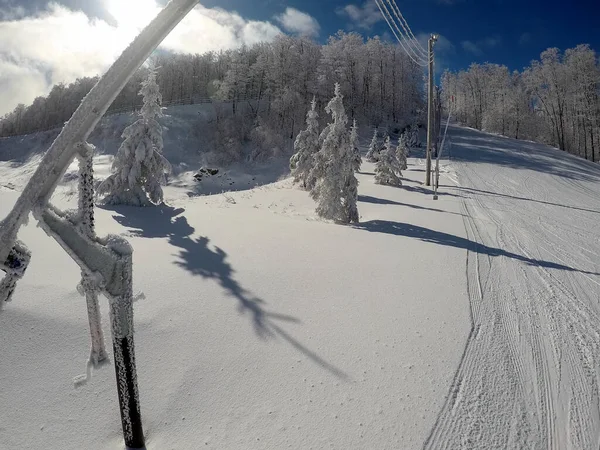 Magical Place Skiers Descend Slopes Mont Bromont Cold Branches Trees — Stock Photo, Image