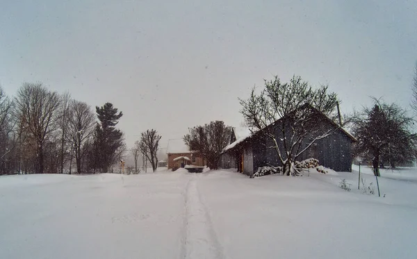 Det Ett Vackert Landskap Som Ser Med Snöflingorna Allt Vitt — Stockfoto