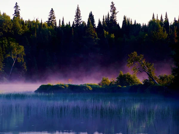 Sakindi Tatildi Doğa Bize Güzel Bir Yaz Manzarası Sunuyordu Quebec — Stok fotoğraf