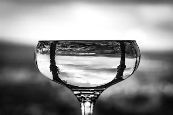 Glasses of wine in black and white