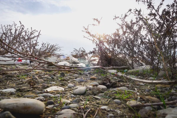 Garbage Dump Forest Environmental Pollution Trash Dump — Stock Photo, Image