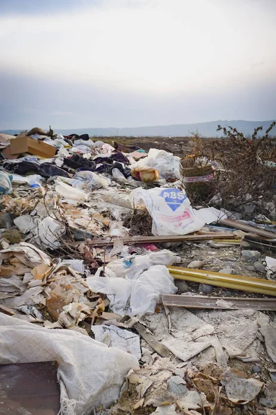 Σκουπιδότοπος Κοντά Στο Δάσος Ρύπανση Του Περιβάλλοντος Σκουπίδια Ένδειξης — Φωτογραφία Αρχείου