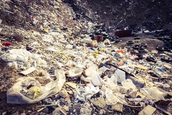 Garbage Dump Forest Environmental Pollution Trash Dump — Stock Photo, Image