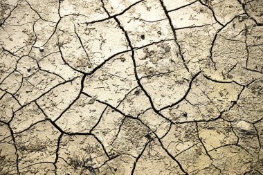 Çatlak toprak yüzeyi. Kuşların ayak izleri ile kuraklık arazi arka plan.