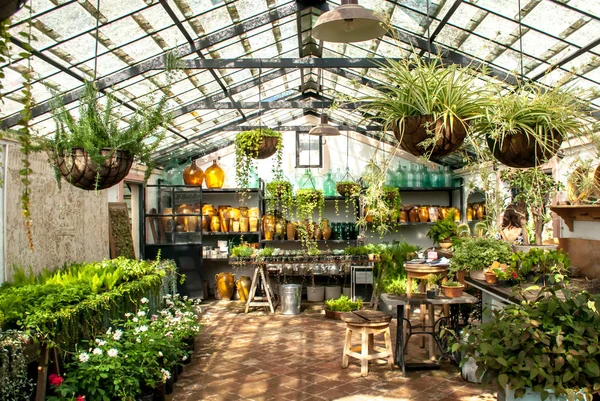 Green house interior with plants and instruments.