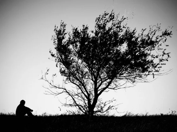 Hombre Sentado Bajo Árbol Pensando Árbol Solitario Humano Sentado Hierba — Foto de Stock