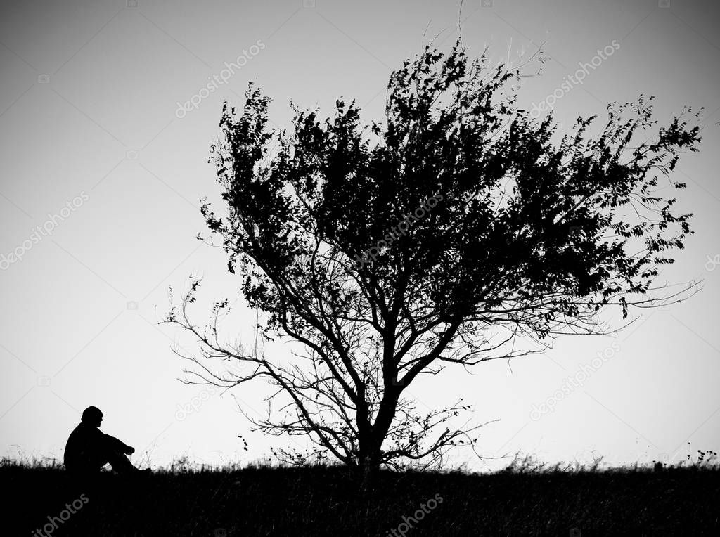 A man sitting under the tree and thinking. Lone tree and a human sitting on the grass.