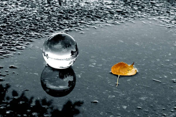 一个玻璃球和一个孤独的黄色叶子在潮湿的沥青路面上 一片孤零零的秋叶和一个皮球 — 图库照片