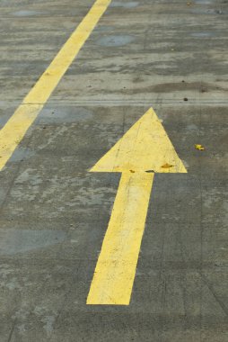 Parktaki ıslak beton yolda sarı çizgiler ve oklar. Yoldaki sarı yönlü çizgi.
