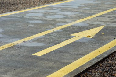 Parktaki ıslak beton yolda sarı çizgiler ve oklar. Yoldaki sarı yönlü çizgi.
