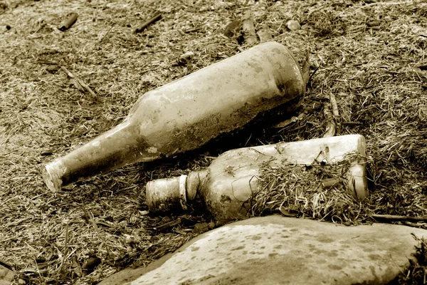 Thrown away bottles on the forest. Environmental pollution. Glass garbage in the forest.