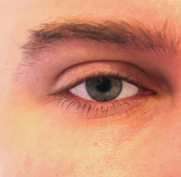 A closeup of an eye and an eyebrow of a man