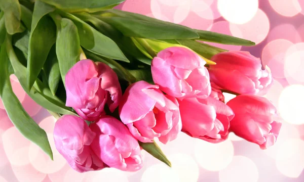 Pink Tulips Pink Bokeh Baxkground — Stock Photo, Image