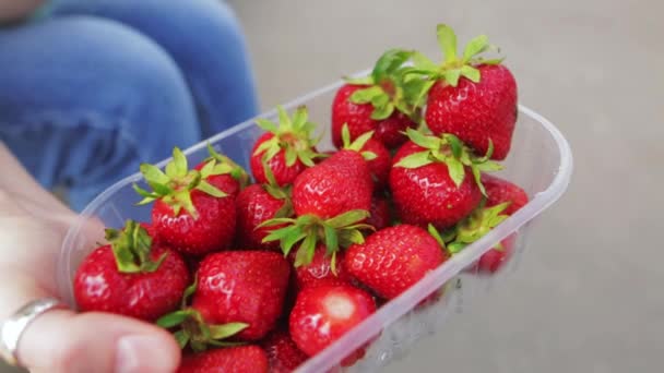 Het meisje kiest een grote sappige aardbei uit een plastic container. — Stockvideo