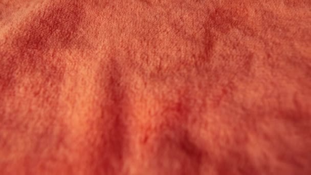 Red synthetic fur. Can be used as background. — Stock Video
