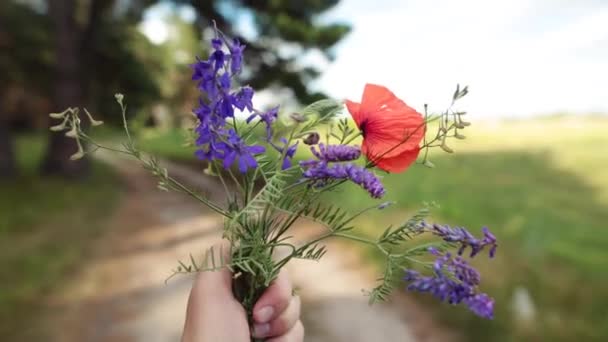 Mano maschile in possesso di un mazzo di fiori selvatici. Concetto vacanza estiva . — Video Stock