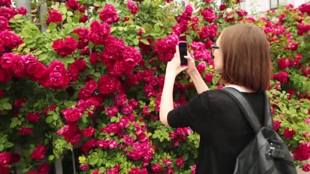 Young Caucasian women in glasses taking picture of red rose. — Stock Video