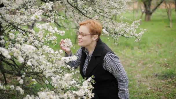 Lycklig senior kvinna ser och luktar Körsbärsröd tree blossom. Slow motion. — Stockvideo