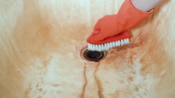Uma mão de homem em luvas de borracha vermelha limpa a pia do banheiro com uma escova de esfoliação. Limpeza geral da casa . — Vídeo de Stock