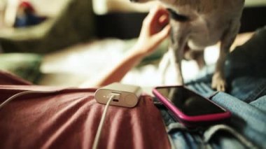 Kız köpek powerbank onun akıllı telefon şarj ederken okşadı.