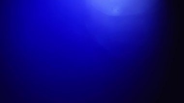 Mavi ışık sızıntıları Lens yılan öldürme veya siyah arka plan üzerinde freelensing.