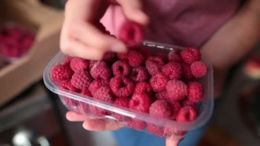 Ahududu toplama bir kadının elleri. Bir antioksidan ve süper gıda kavramı.