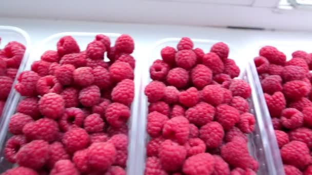 Boîte en plastique avec framboises dans les mains de la femme, mise au point sélective . — Video