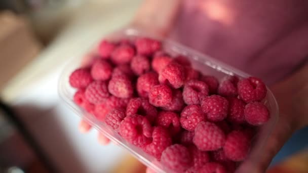 Une poignée de framboises rouges. Des mains féminines. À l'intérieur. Mise au point rack . — Video