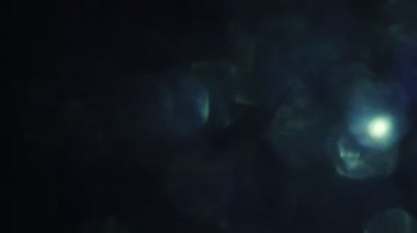 Karanlık cam ışık hareketli sızıntıları, soğuk tonları parçacıklar.