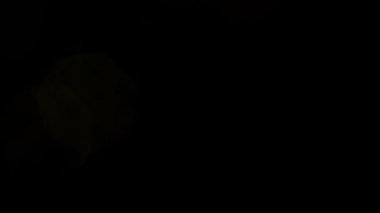 Soyut bokeh altın parçacıkları.