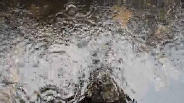 Warm summer rain drops rippling in a puddle. — Stock Video