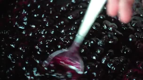 Ruční podněcuje džem z černého rybízu v rendlíku s kovovou lžičku. — Stock video