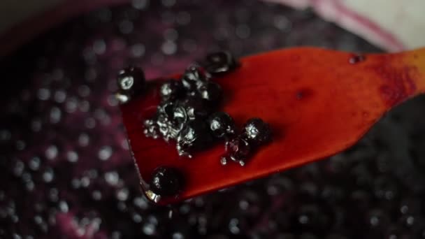 Demonstration von frischer Marmelade aus schwarzer Johannisbeere — Stockvideo