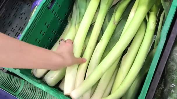 Een dames hand kiezen en kopen een heleboel prei in een supermarkt. — Stockvideo