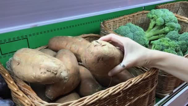 La mano humana recogiendo papas frescas crudas, textura de fondo, raíz de papa, verduras crudas, 4k . — Vídeo de stock