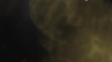 Farklı bokeh bakliyat renkli. Karışık renk koyu arka plan üzerinde güzel ışık sızıntısı.