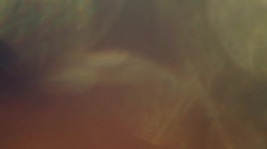 Sıcak renkli rüya gibi ışık sızıntıları farklı renklerde.