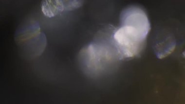 Farklı bokeh bakliyat renkli. Karışık renk koyu arka plan üzerinde güzel ışık sızıntısı.