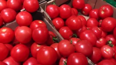 Beyaz bir genç kadının el kavun glocery dükkanında seçer..