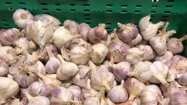 Ajo sano orgánico fresco en el mercado de alimentos. Hortalizas de ajo . — Vídeo de stock