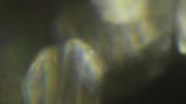 Futuristische holografische iriserende achtergrond met krassen. — Stockvideo
