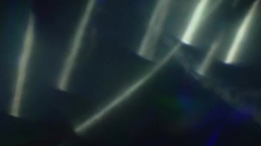 Neon renkler karanlıkta yanıp sönen Holograhpic yanardöner parçacıklar.