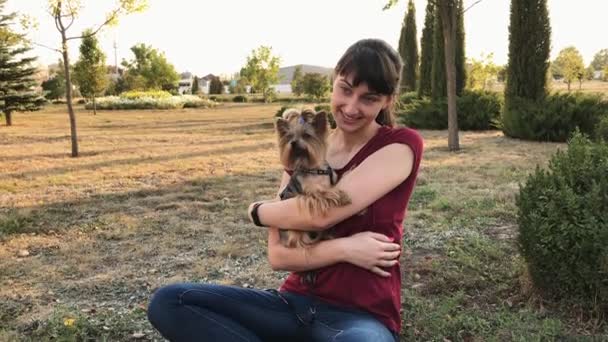 Menina sorridente e pequeno cão Yorkshire terrier posando ao ar livre . — Vídeo de Stock