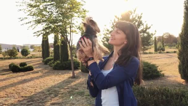 Souriante Fille Caucasienne Petit Chien Yorkshire Terrier Posant Extérieur Coucher — Video