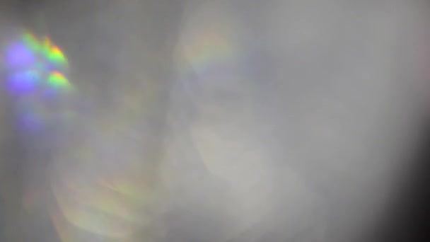 빛 누출 및 렌즈 플레어 실버 홀로그램 무지개 빛깔의 bokeh와 잎사귀. — 비디오