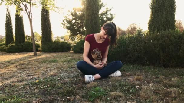 Посміхається дівчина і милий пес Йоркширський тер'єр, сидячи на траві. — стокове відео