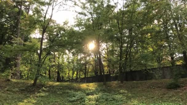 Vista panorámica del parque de la ciudad. Tarde de otoño . — Vídeos de Stock